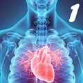 Fiziologia aparatului cardiovascular 1