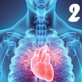 Fiziologia aparatului cardiovascular 2